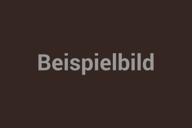 Die Vorteile von Softcover-Büchern